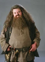 Hagrid05 HP1