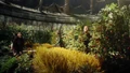 Destiny garden