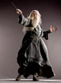 Dumbledorephoto.jpg