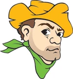 Missouri S&T Miners.jpg