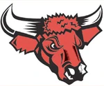 Nebraska Omaha Mavericks.jpg