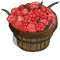 Pink Carnation Bushel-icon