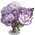 Purple Magnolia-icon
