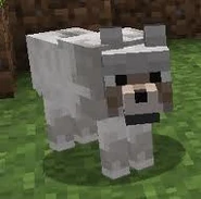 MCwolf