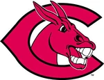 Central Missouri Mules.jpg