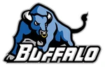 Buffalo Bulls.jpg
