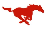 SMU Mustangs.jpg