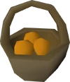 Oranges detail