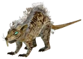 Giant rat