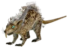 Giant rat