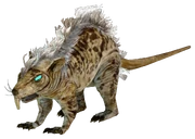 Giant rat