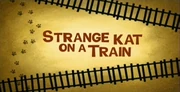 44-2 - Strange Kat On A Train