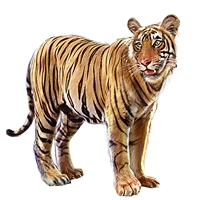 Huge item jtiger 01.png