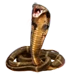 King Cobra
