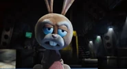 Boingo the bunny