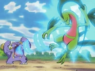 EP342 Grovyle siendo golpeado por vozarrón