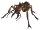 Giant soldier ant