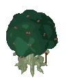 Cherrymon RPG