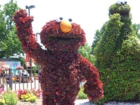 SesamePlaceTopiaries (5)