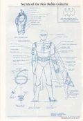 Tim drakes robin costume