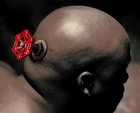 Head small
