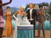 Generations wedding