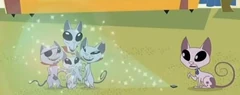 Kat's Family