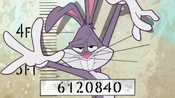 Looney103-1-300x168