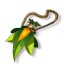 Green Googulet