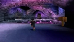 Dungeon Pit