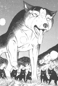 Haku5