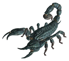 Radscorpion