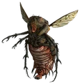 Bloatfly