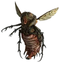 Bloatfly