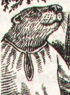 Abruc.jpg