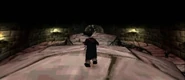 Slytherin Duelling Dungeon
