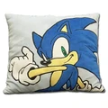 GESonicGryPillow.jpg