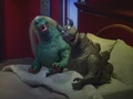 Godzilla Toy 0001