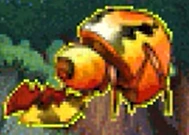 Bug
