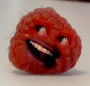Red raspberry