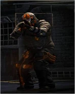 Standard militia