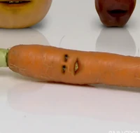 AO Carrot 2