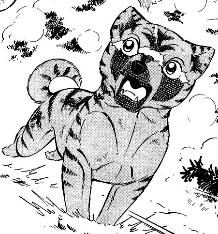 Yamabiko - Kuuluisan Kurohabaki-klaanin johtaja Biko5