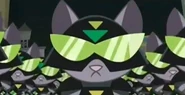 Kat soldier's 2