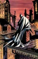 Batman 0531
