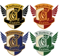 Captain badges.png