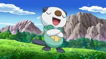 EP695 Oshawott de Ash