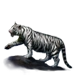 Tundra Tiger