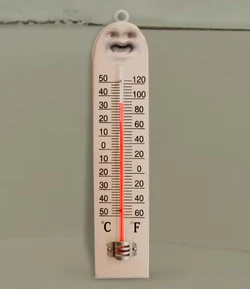 Thermometer