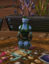 JandiCat